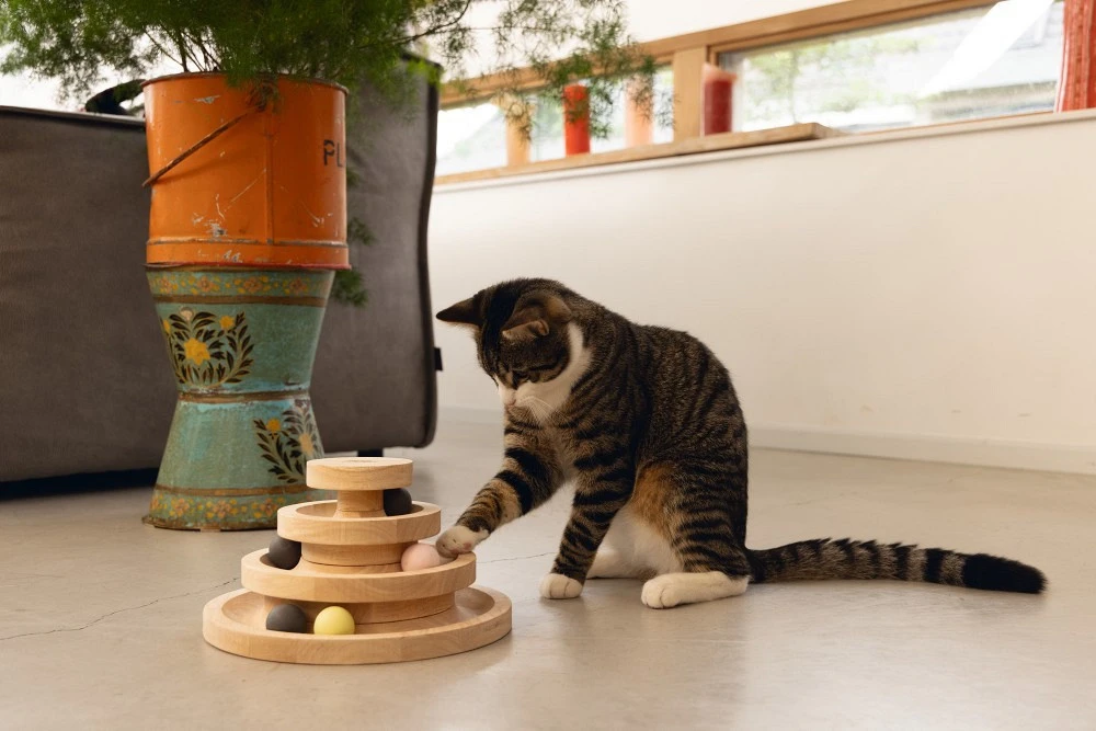 Designed By Lotte Speeltoren Mia 5 Designed By Lotte Speeltoren Mia - Afbeelding 3