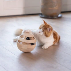 Designed By Lotte -Designed By Lotte 0440730 1