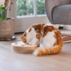 Designed By Lotte Kattenspeelgoed Raya -Designed By Lotte 0440731 3