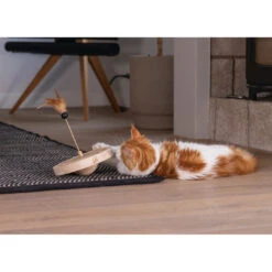 Designed By Lotte Kattenspeelgoed Winni 8 Designed By Lotte Kattenspeelgoed Winni -Designed By Lotte 0440732 2