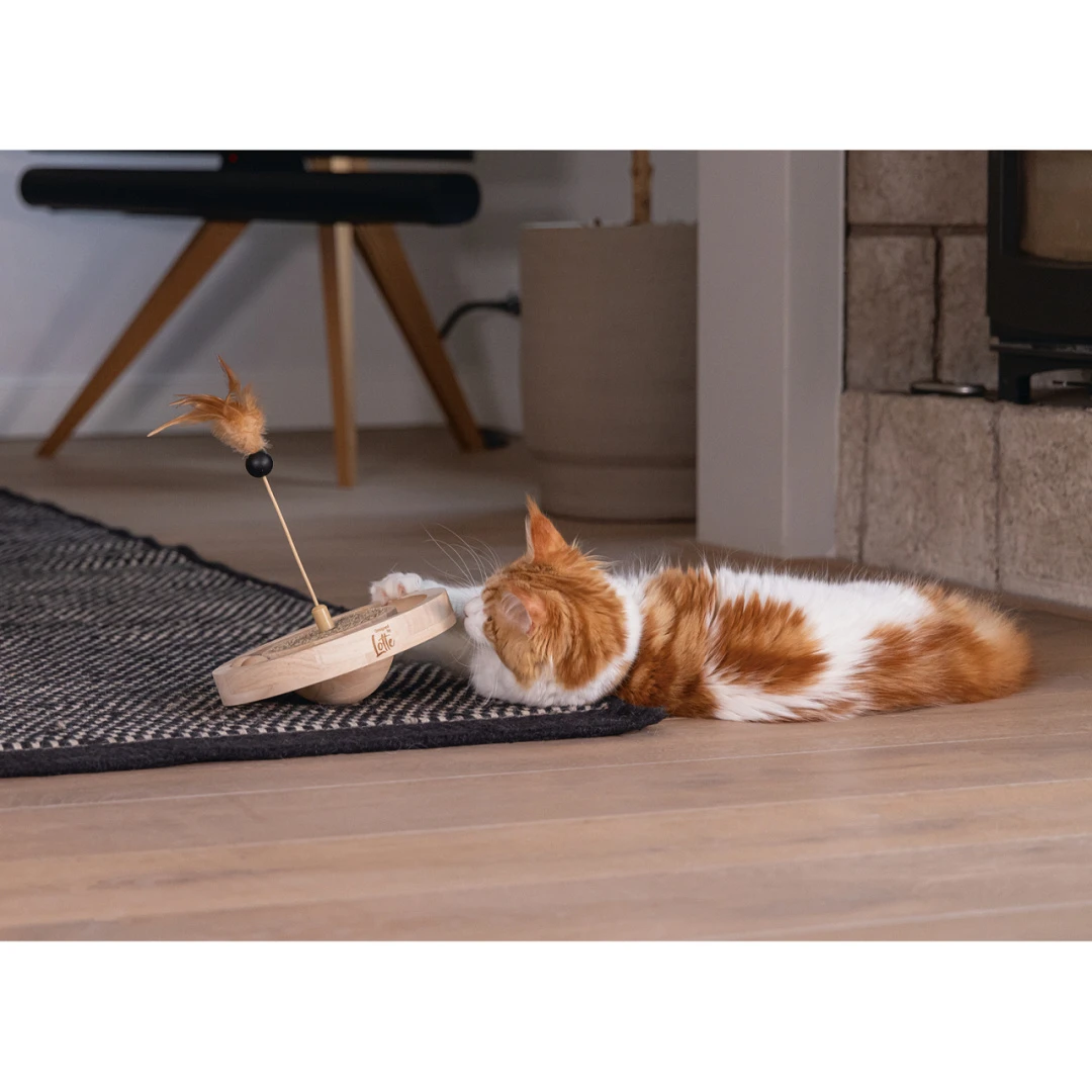 Designed By Lotte Kattenspeelgoed Winni 5 Designed By Lotte Kattenspeelgoed Winni - Afbeelding 3