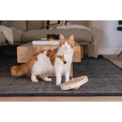 Designed By Lotte Kattenspeelgoed Winni 9 Designed By Lotte Kattenspeelgoed Winni -Designed By Lotte 0440732 3