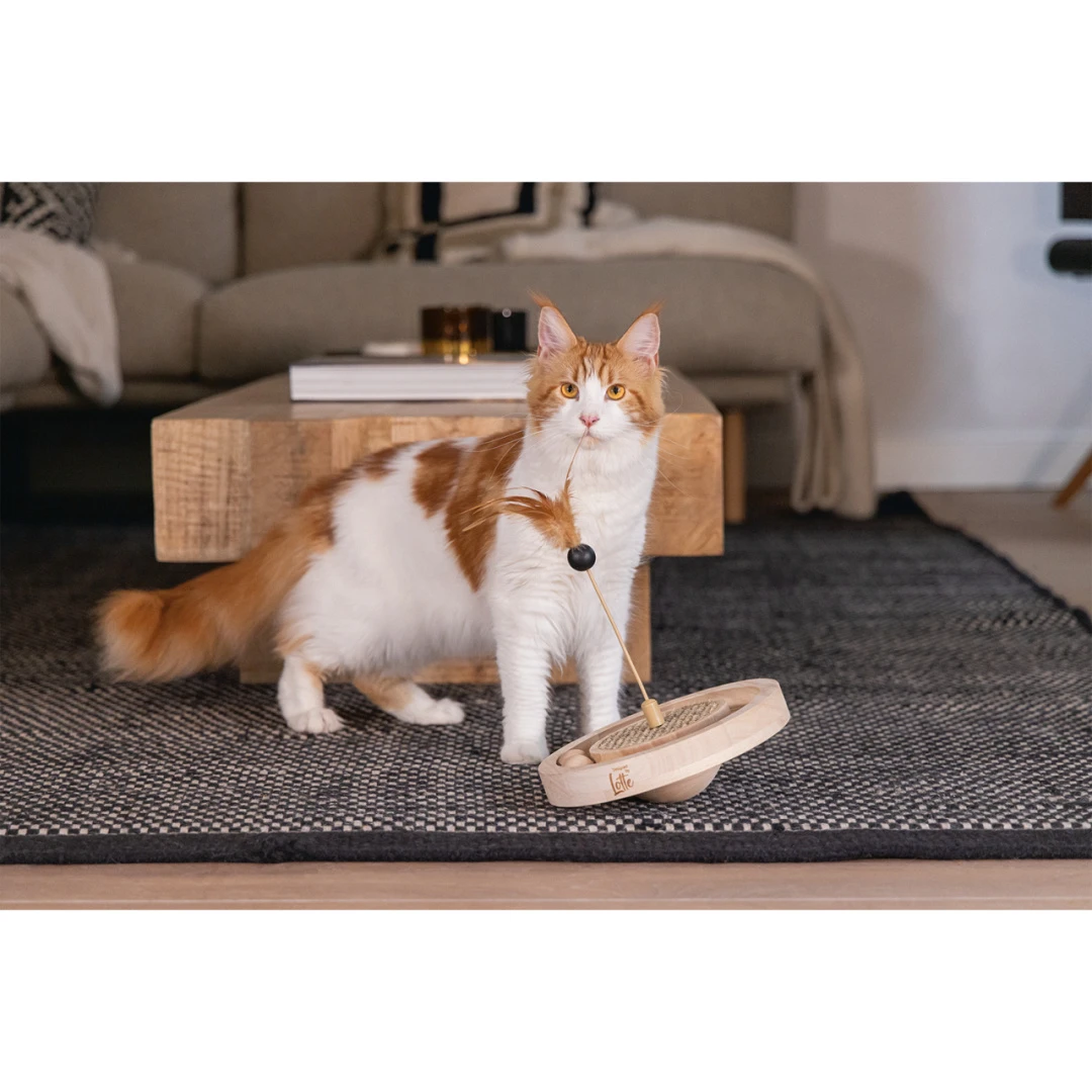 Designed By Lotte Kattenspeelgoed Winni 6 Designed By Lotte Kattenspeelgoed Winni - Afbeelding 4