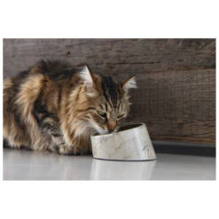 Designed By Lotte Voerbak Vita Beige 160 Ml 9 Designed By Lotte Voerbak Vita Beige 160 Ml -Designed By Lotte 0650792 3