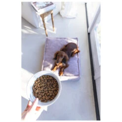 Designed By Lotte Voerbak Vive Wit 14 Designed By Lotte Voerbak Vive Wit -Designed By Lotte 0653970 2