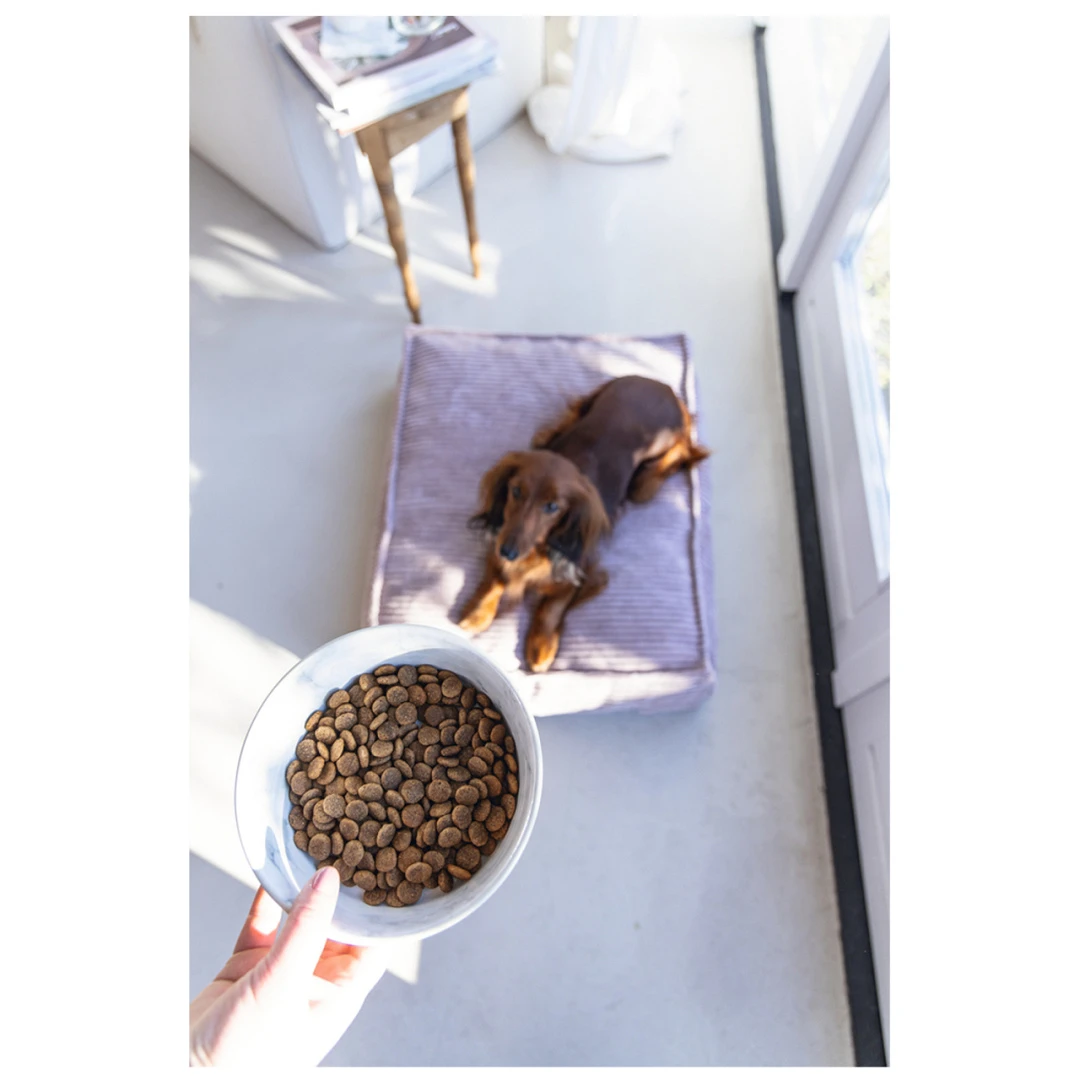 Designed By Lotte Voerbak Vive Wit 5 Designed By Lotte Voerbak Vive Wit - Afbeelding 3