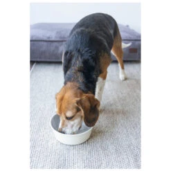 Designed By Lotte Voerbak Vive Wit 17 Designed By Lotte Voerbak Vive Wit -Designed By Lotte 0653971 2