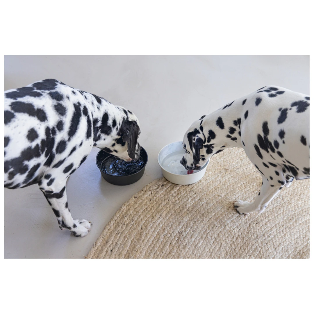 Designed By Lotte Voerbak Vive Zwart 10 Designed By Lotte Voerbak Vive Zwart - Afbeelding 8