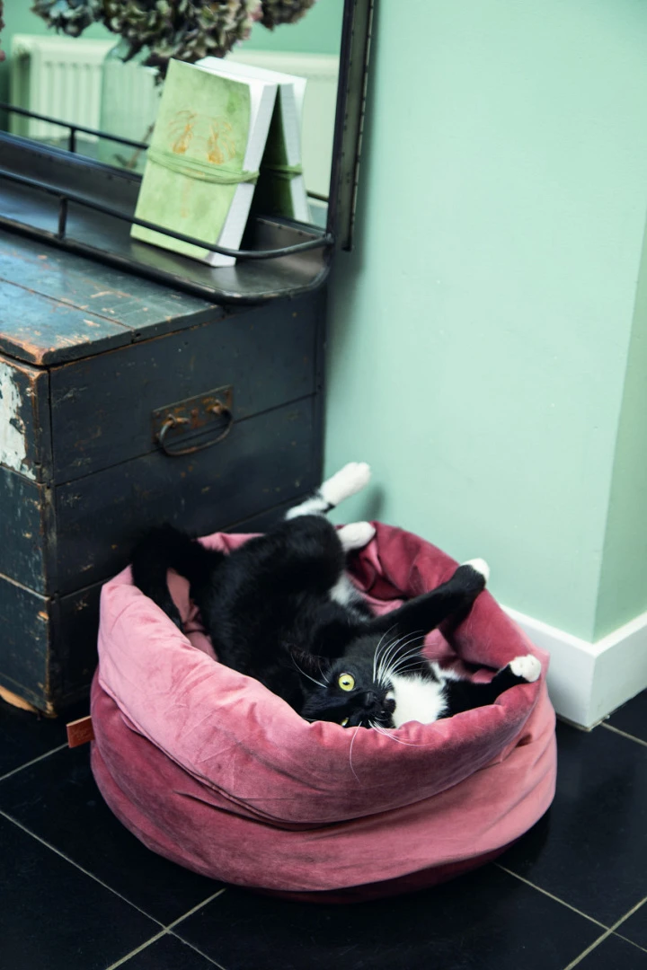 Designed By Lotte Kattenmand Fluco Roze 4 Designed By Lotte Kattenmand Fluco Roze - Afbeelding 2