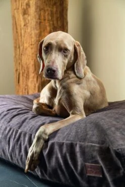 Designed By Lotte Hondenkussen Unnay Bruin -Designed By Lotte 0716075 sfeer1