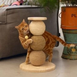 Designed By Lotte Kattenkrabbollen Elio 34x47.5 Cm Hout -Designed By Lotte 1200x1200 11