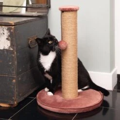 Designed By Lotte Yenna - Krabpaal - Roze - 35x35x50 Cm 7 Designed By Lotte Yenna - Krabpaal - Roze - 35x35x50 Cm -Designed By Lotte 1200x1200 5