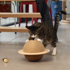 Designed By Lotte Kattenkrabbol Wiggly 29.5x20 Cm Hout 12 Designed By Lotte Kattenkrabbol Wiggly 29.5x20 Cm Hout -Designed By Lotte 1200x1200 7