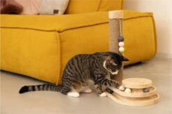 Designed By Lotte Krabpaal Inez 38 X 24,5 X 47,5 Cm 15 Designed By Lotte Krabpaal Inez 38 X 24,5 X 47,5 Cm -Designed By Lotte 1200x799