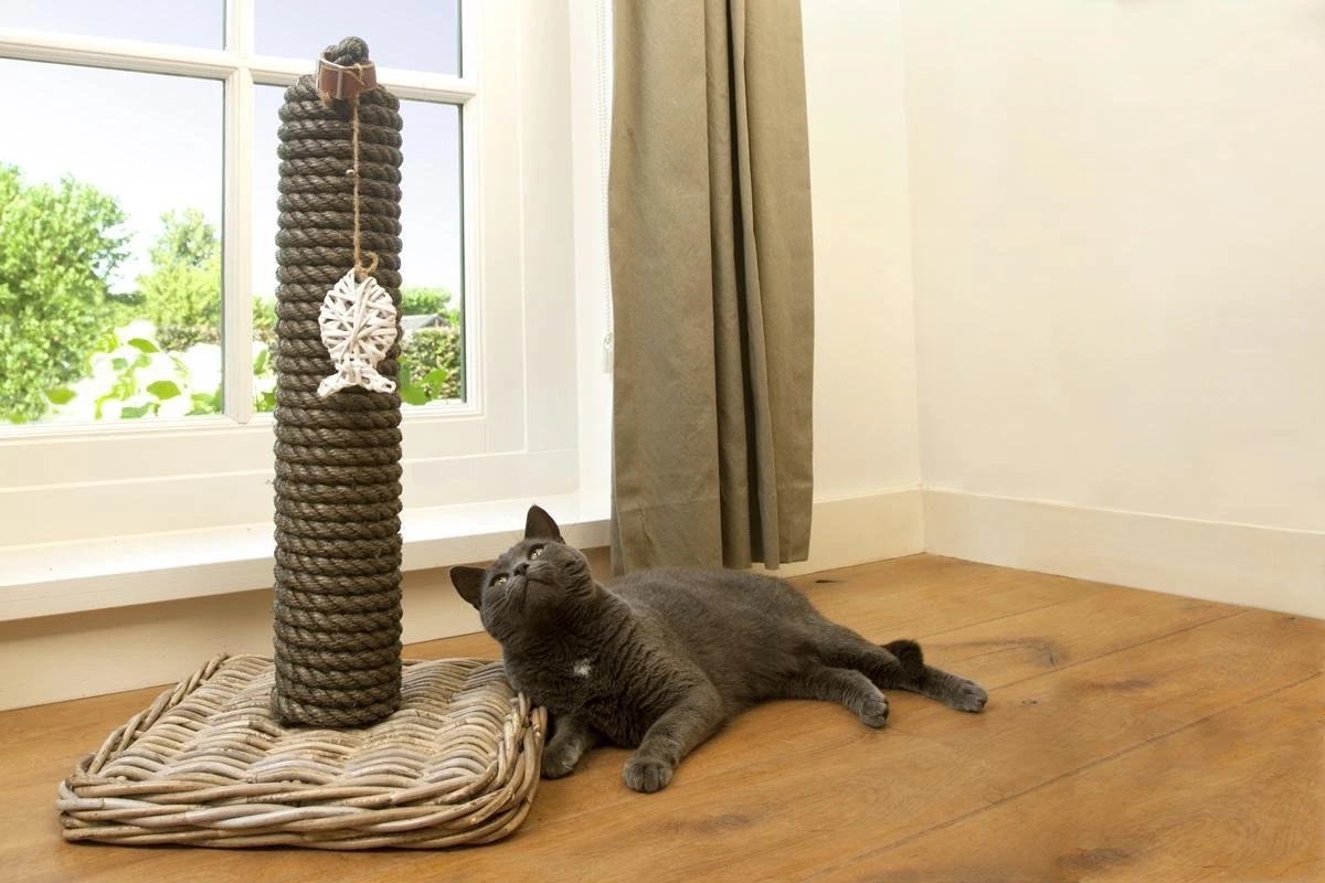 Designed By Lotte - Krabpaal - Kubu - 40x40x80 Cm 9 Designed By Lotte - Krabpaal - Kubu - 40x40x80 Cm - Afbeelding 7