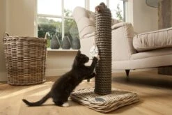 Designed By Lotte - Krabpaal - Kubu - 40x40x80 Cm 17 Designed By Lotte - Krabpaal - Kubu - 40x40x80 Cm -Designed By Lotte 1200x800