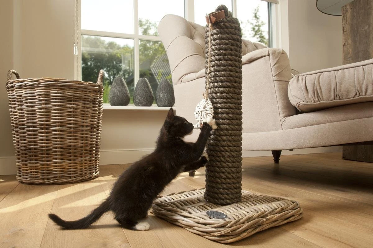 Designed By Lotte - Krabpaal - Kubu - 40x40x80 Cm 8 Designed By Lotte - Krabpaal - Kubu - 40x40x80 Cm - Afbeelding 6