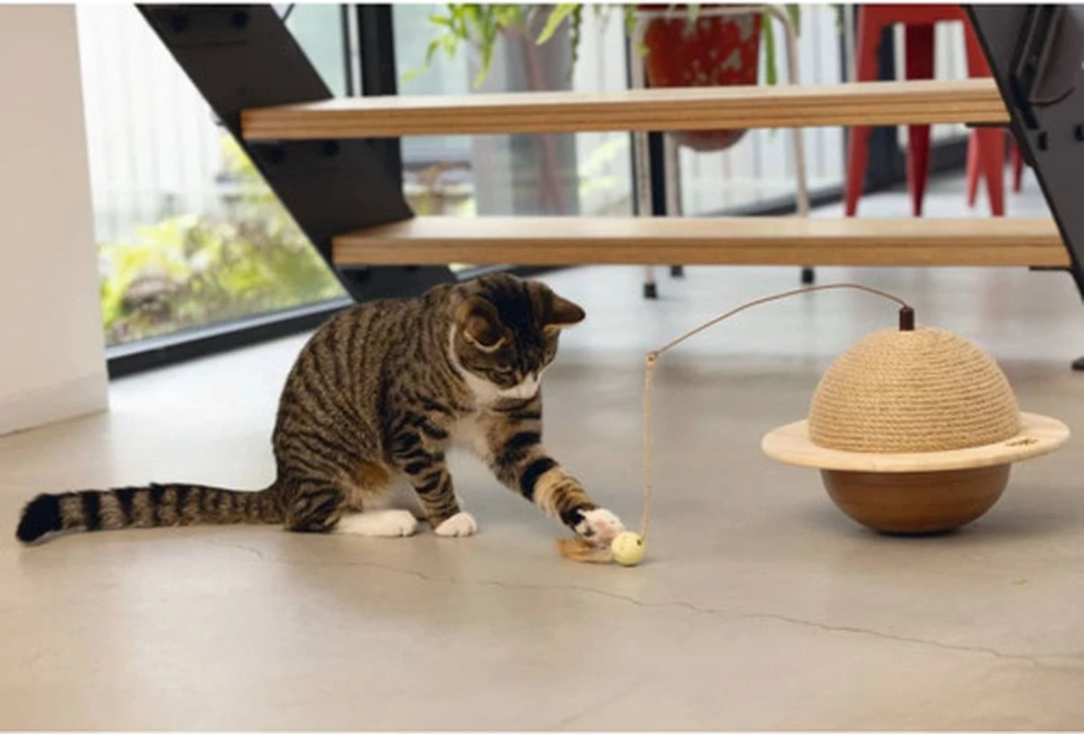 Designed By Lotte Kattenkrabbol Wiggly 29.5x20 Cm Hout 5 Designed By Lotte Kattenkrabbol Wiggly 29.5x20 Cm Hout - Afbeelding 3