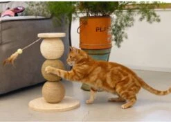 Designed By Lotte -Designed By Lotte 1200x853