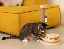 Designed By Lotte Krabpaal Inez 38 X 24,5 X 47,5 Cm 14 Designed By Lotte Krabpaal Inez 38 X 24,5 X 47,5 Cm -Designed By Lotte 1200x926