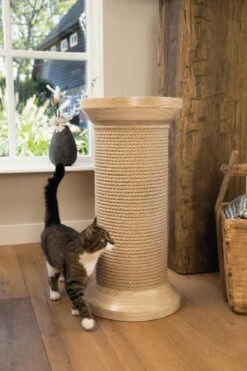 Designed By Lotte -Designed By Lotte 800x1200 8