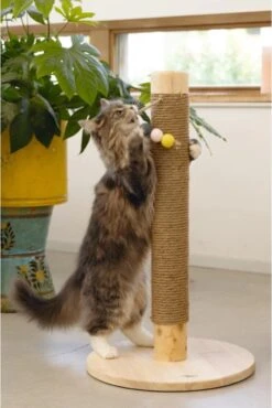 Designed By Lotte -Designed By Lotte 802x1200