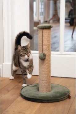 Designed By Lotte Yenna - Krabpaal - Groen - 35x35x50 Cm -Designed By Lotte 804x1200