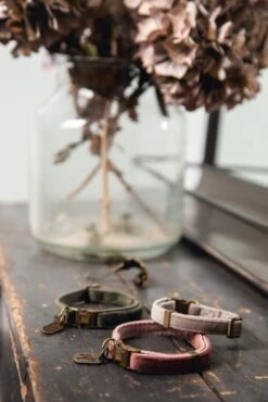 Designed By Lotte Kattenhalsband Velura Roze 20-30 Cm 13 Designed By Lotte Kattenhalsband Velura Roze 20-30 Cm -Designed By Lotte 8712695177203 9