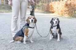 Designed By Lotte Hondenhalsband Velura Groen 35-50 X 2 Cm -Designed By Lotte 8712695177319 3 1