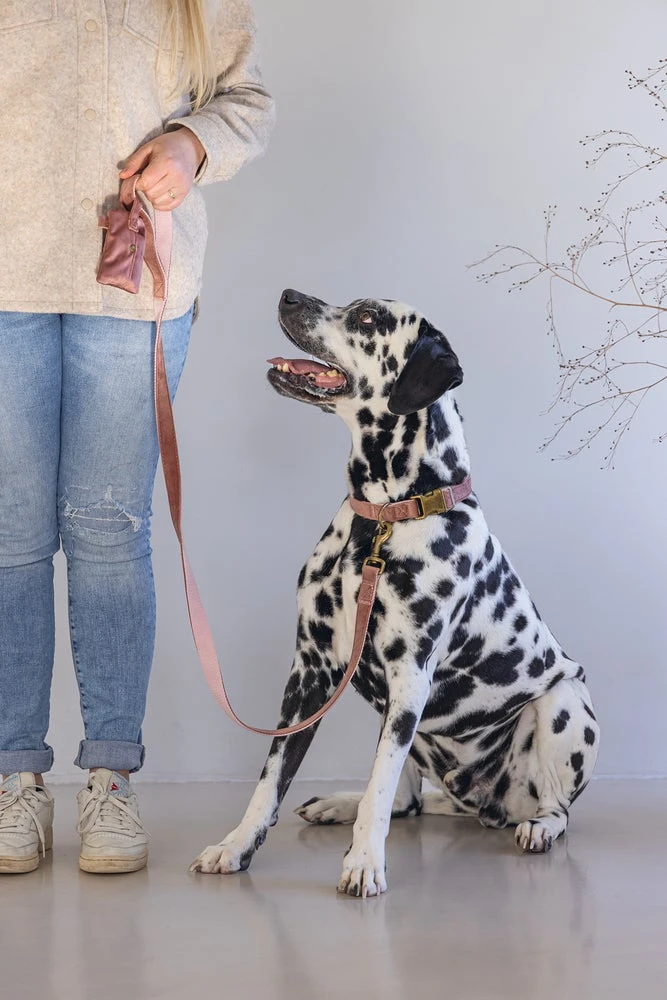 Designed By Lotte Hondenhalsband Velura Roze 48-70 X 2,5 Cm 7 Designed By Lotte Hondenhalsband Velura Roze 48-70 X 2,5 Cm - Afbeelding 5