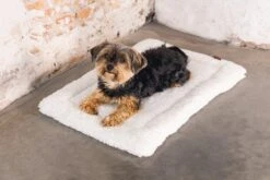 Designed By Lotte Vetbed Ligra Crème 62 X 44 X 3 Cm -Designed By Lotte 8712695180425 5 1