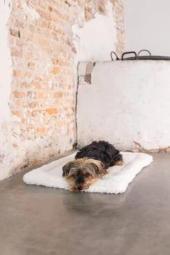 Designed By Lotte Vetbed Ligra Crème 49 X 36 X 3 Cm 17 Designed By Lotte Vetbed Ligra Crème 49 X 36 X 3 Cm -Designed By Lotte 8712695180425 8