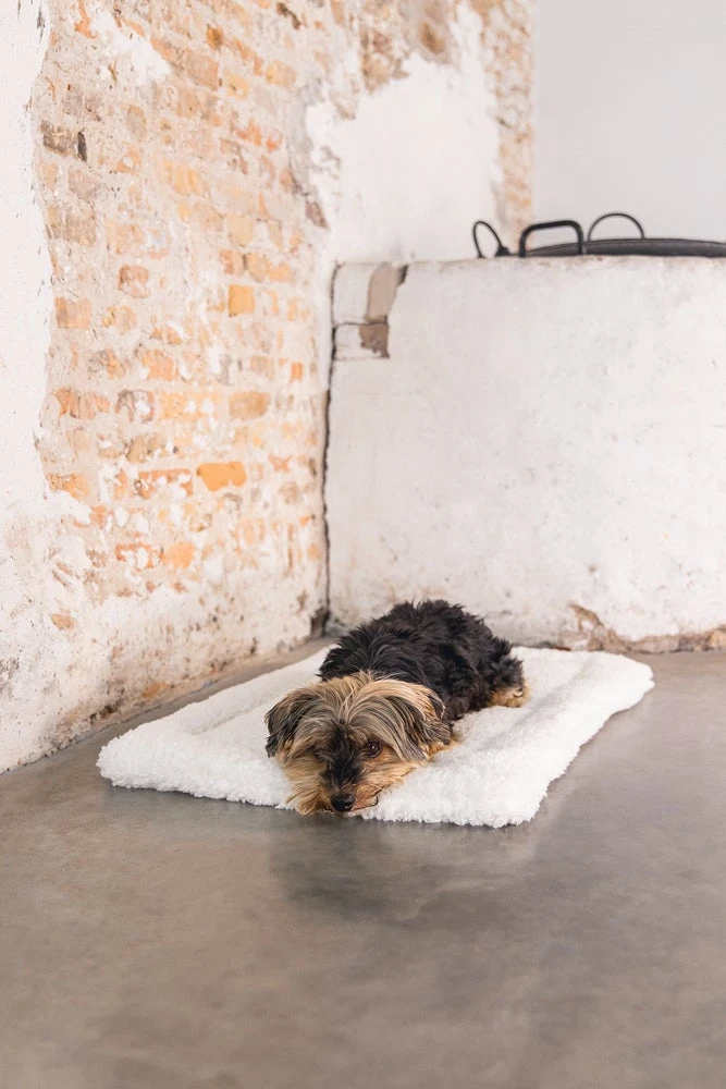 Designed By Lotte Vetbed Ligra Crème 49 X 36 X 3 Cm 10 Designed By Lotte Vetbed Ligra Crème 49 X 36 X 3 Cm - Afbeelding 8