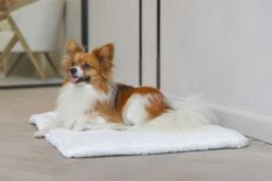 Designed By Lotte Vetbed Ligra Crème 78 X 55 X 3 Cm 13 Designed By Lotte Vetbed Ligra Crème 78 X 55 X 3 Cm -Designed By Lotte 8712695180449 6