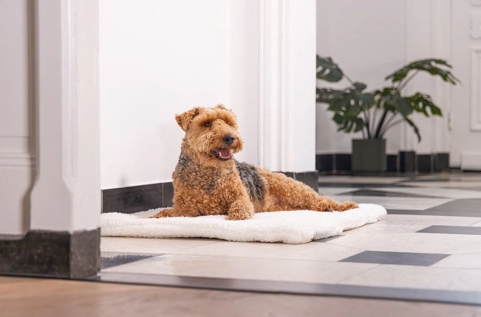 Designed By Lotte Vetbed Ligra Crème 89 X 60 X 3 Cm 7 Designed By Lotte Vetbed Ligra Crème 89 X 60 X 3 Cm - Afbeelding 5