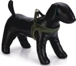 Designed By Lotte Hondentuig Velura Groen 15-36 X 1 Cm XXS