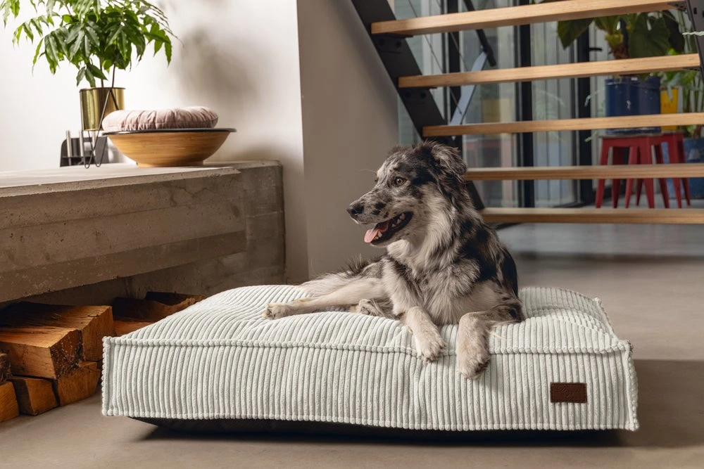Designed By Lotte Hondenkussen Ribbed Grijs 120 X 80 X 15 Cm 4 Designed By Lotte Hondenkussen Ribbed Grijs 120 X 80 X 15 Cm - Afbeelding 2