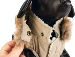 Designed By Lotte Hondenjas Philos Beige M 28 X 46 X 1 Cm 16 Designed By Lotte Hondenjas Philos Beige M 28 X 46 X 1 Cm -Designed By Lotte 8712695196549 6