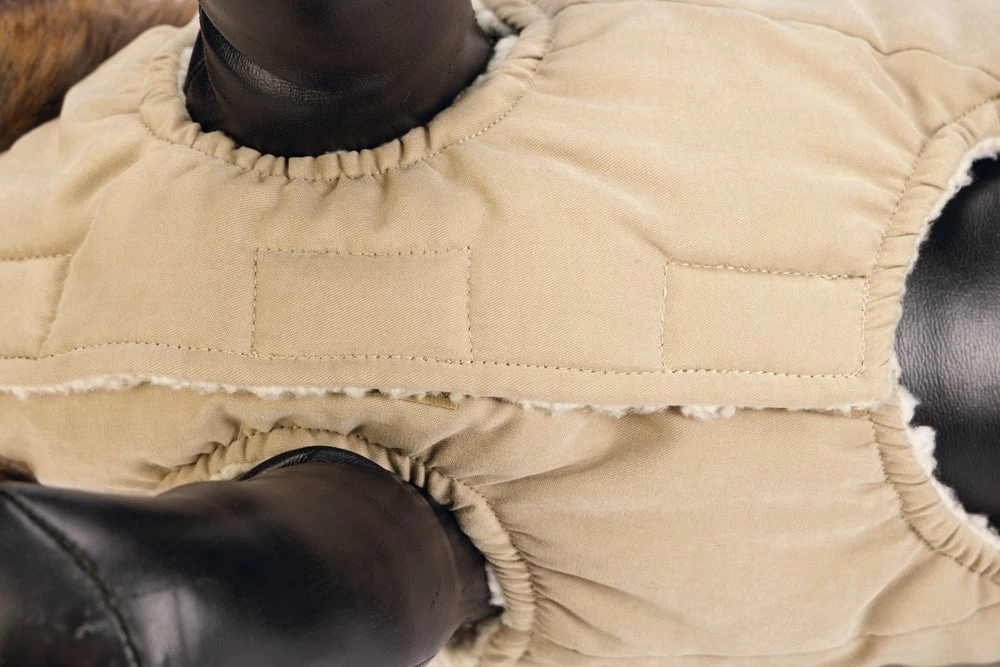 Designed By Lotte Hondenjas Philos Beige XL 36 X 56 X 1 Cm 6 Designed By Lotte Hondenjas Philos Beige XL 36 X 56 X 1 Cm - Afbeelding 4