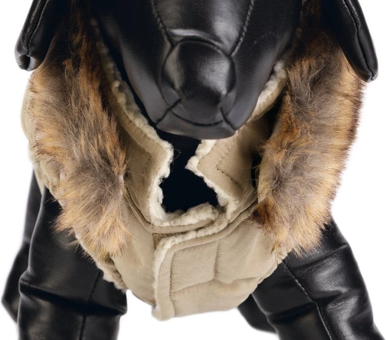 Designed By Lotte Hondenjas Philos Beige XL 36 X 56 X 1 Cm 7 Designed By Lotte Hondenjas Philos Beige XL 36 X 56 X 1 Cm - Afbeelding 5