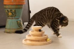 Designed By Lotte Kattenspeelgoed Speeltoren Mia D 26 H 14,5 Cm 11 Designed By Lotte Kattenspeelgoed Speeltoren Mia D 26 H 14,5 Cm -Designed By Lotte 8712695197676 4