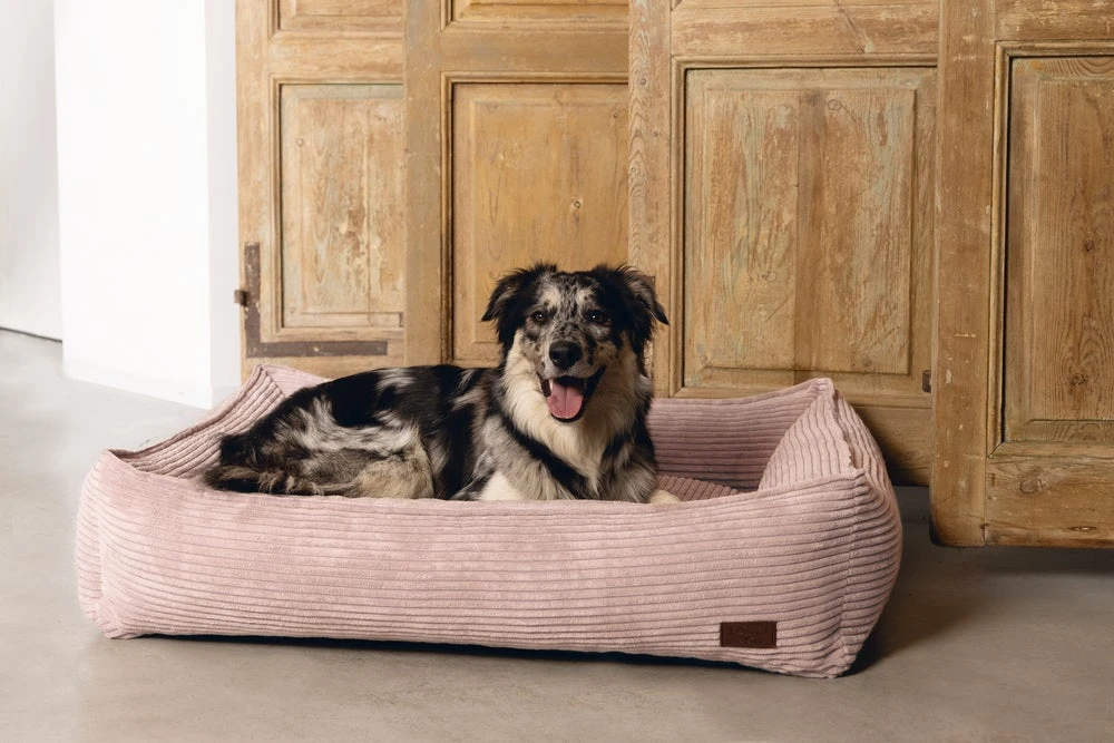 Designed By Lotte Hondenmand Ribbed Roze 80 X 70 X 22 Cm 4 Designed By Lotte Hondenmand Ribbed Roze 80 X 70 X 22 Cm - Afbeelding 2