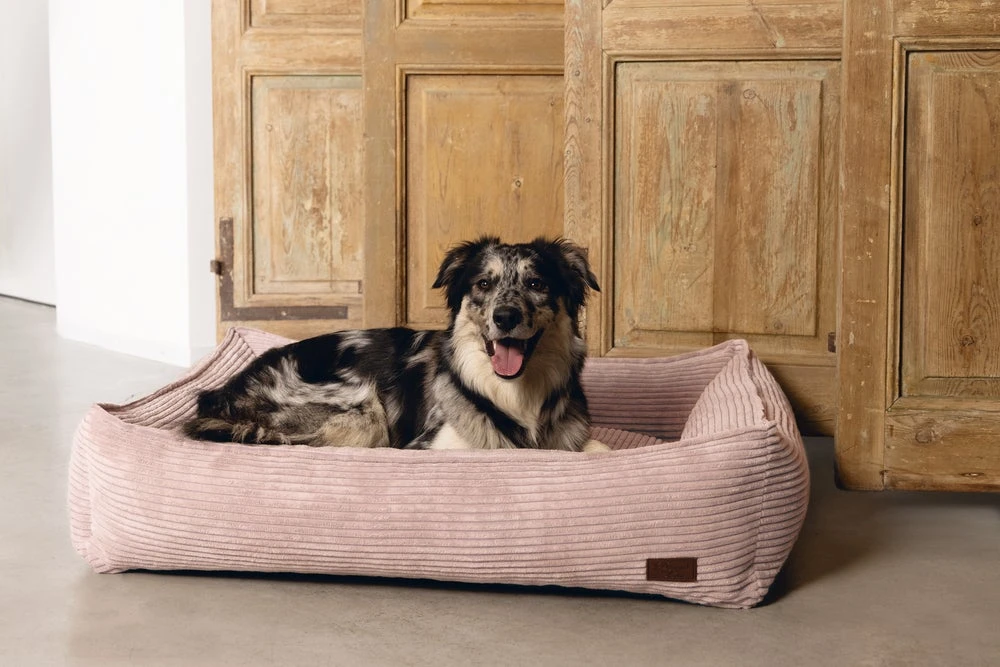 Designed By Lotte Hondenmand Ribbed Roze 95 X 80 X 23 Cm 4 Designed By Lotte Hondenmand Ribbed Roze 95 X 80 X 23 Cm - Afbeelding 2