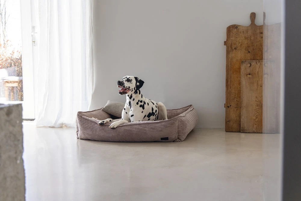 Designed By Lotte Hondenmand Ribbed Roze 95 X 80 X 23 Cm 5 Designed By Lotte Hondenmand Ribbed Roze 95 X 80 X 23 Cm - Afbeelding 3