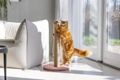 Designed By Lotte Krabpaal Yenna Roze D 41H 70 Cm -Designed By Lotte 8712695202097 5