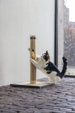 Designed By Lotte Krabpaal Vyda Bruin 40 X 40 X 60 Cm 24 Designed By Lotte Krabpaal Vyda Bruin 40 X 40 X 60 Cm -Designed By Lotte 8712695203339 10