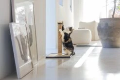 Designed By Lotte Krabpaal Vyda Bruin 40 X 40 X 60 Cm 26 Designed By Lotte Krabpaal Vyda Bruin 40 X 40 X 60 Cm -Designed By Lotte 8712695203339 12