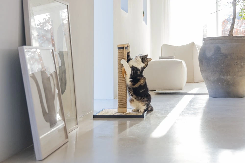 Designed By Lotte Krabpaal Vyda Bruin 40 X 40 X 60 Cm 14 Designed By Lotte Krabpaal Vyda Bruin 40 X 40 X 60 Cm - Afbeelding 12