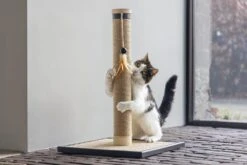 Designed By Lotte Krabpaal Vyda Bruin 40 X 40 X 60 Cm 27 Designed By Lotte Krabpaal Vyda Bruin 40 X 40 X 60 Cm -Designed By Lotte 8712695203339 13