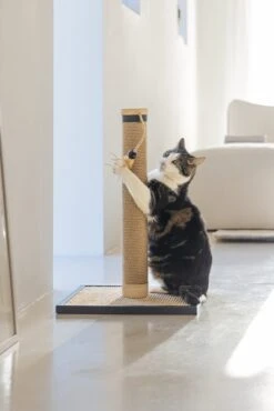 Designed By Lotte Krabpaal Vyda Bruin 40 X 40 X 60 Cm 22 Designed By Lotte Krabpaal Vyda Bruin 40 X 40 X 60 Cm -Designed By Lotte 8712695203339 8